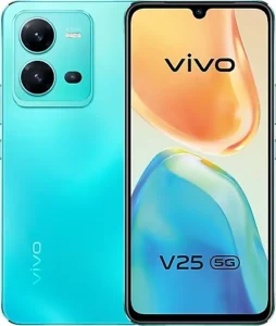 Vivo V25